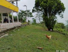 Elvis Cardona - Finca in Santa Bárbara, Antioquia